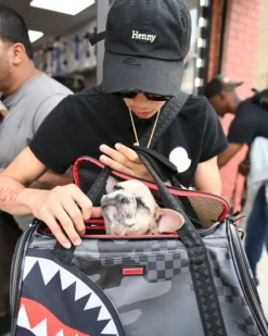 3AM PET CARRIER