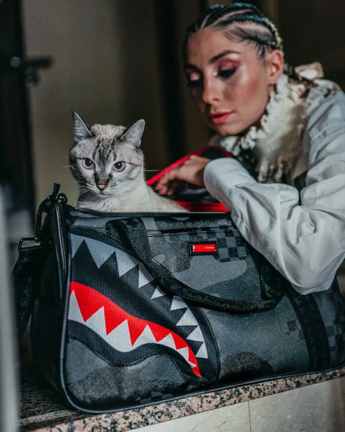 3AM PET CARRIER