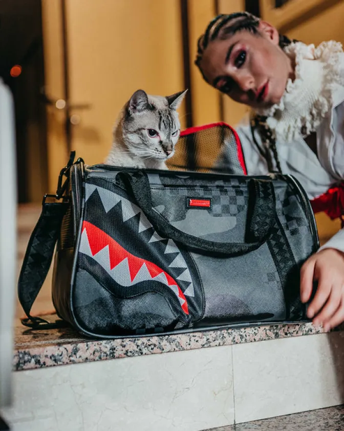3AM PET CARRIER