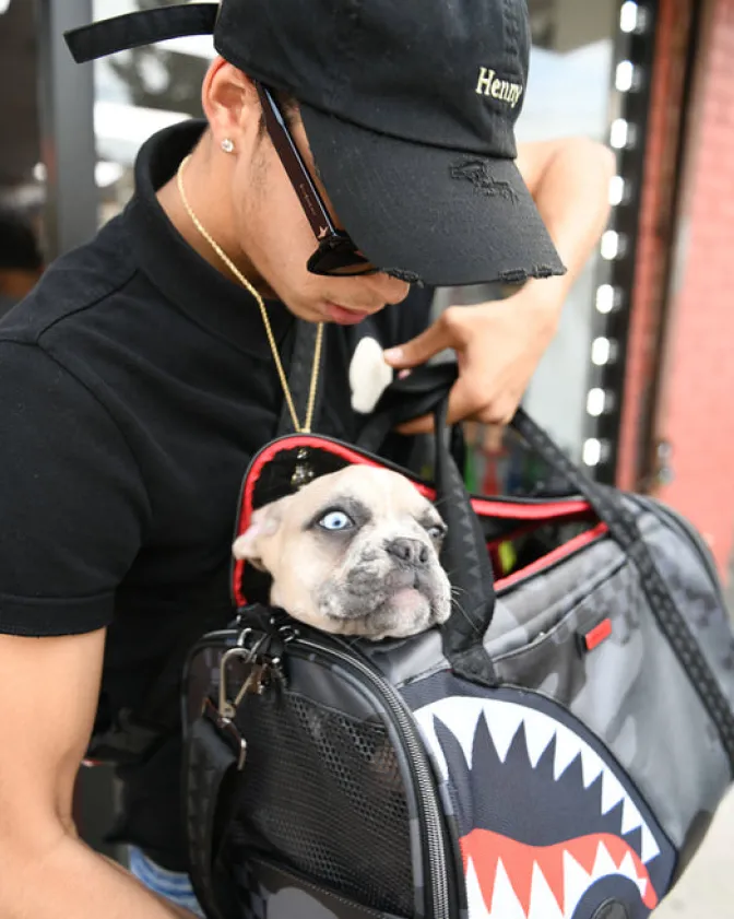 3AM PET CARRIER