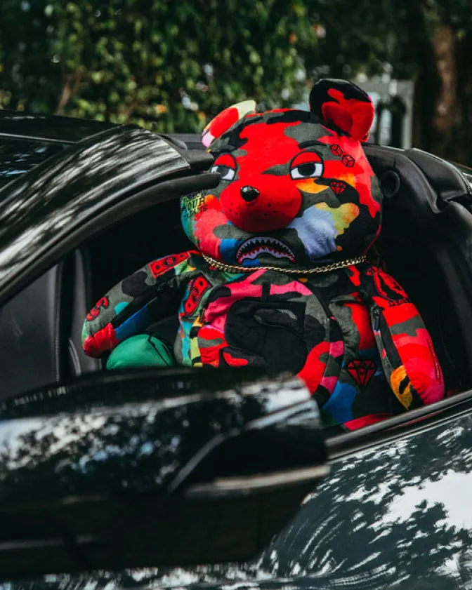CAMOBURST MONEYBEAR TEDDYBEAR BACKPACK