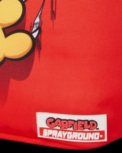 GARFIELD CAT SCRATCH (DLXR)
