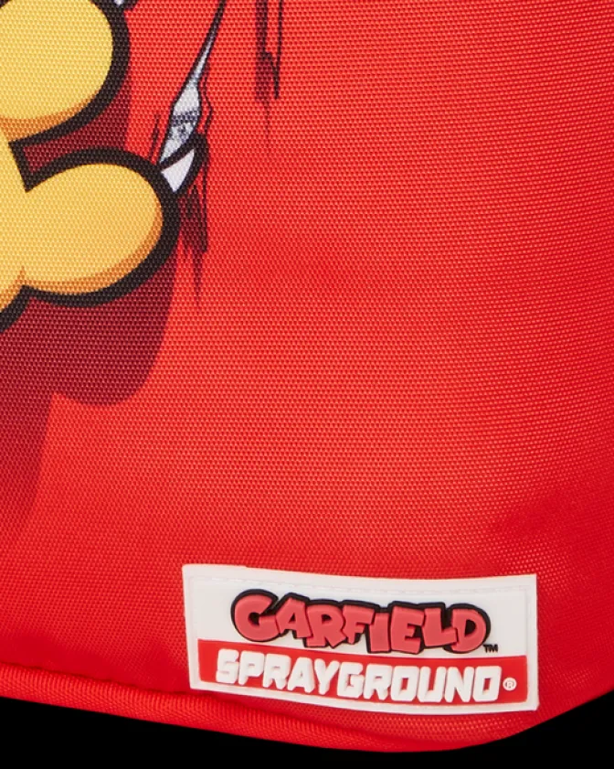 GARFIELD CAT SCRATCH (DLXR)