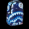 NORTH SHARK