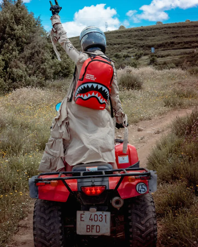 SHARK CENTRAL (RED) (DLXV)