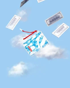 SKYBORNE WALLET