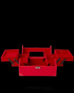 SOULJA BOY JEWELRY CASE