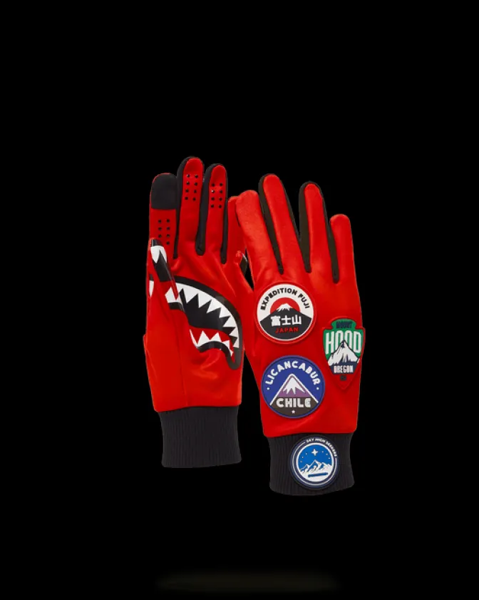 THE GLOBAL EXPEDITION GLOVES