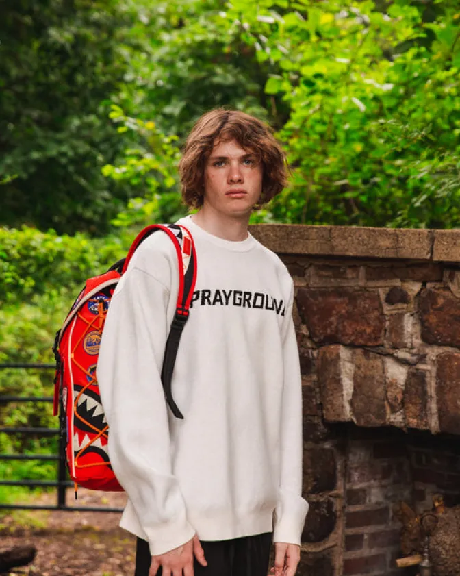 THE GLOBAL EXPEDITION HILLS BACKPACK