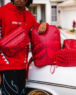 VENI VIDI VICI BACKPACK (DLXV)