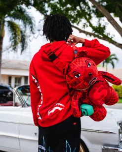 VENI VIDI VICI MONEYBEAR TEDDYBEAR BACKPACK