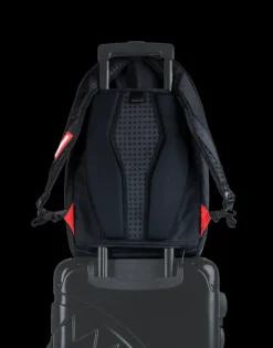 WINGS OF PARADISE