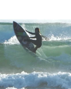WTF SURFBOARD
